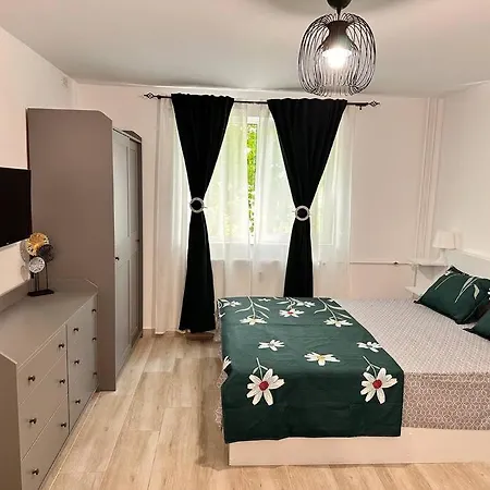 Luna Apartament Apartment Timisoara