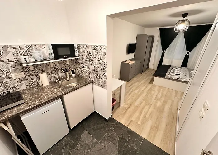 Luna Apartment Timisoara